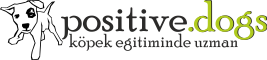 Positive Dogs - Köpek Eğitiminde Uzman